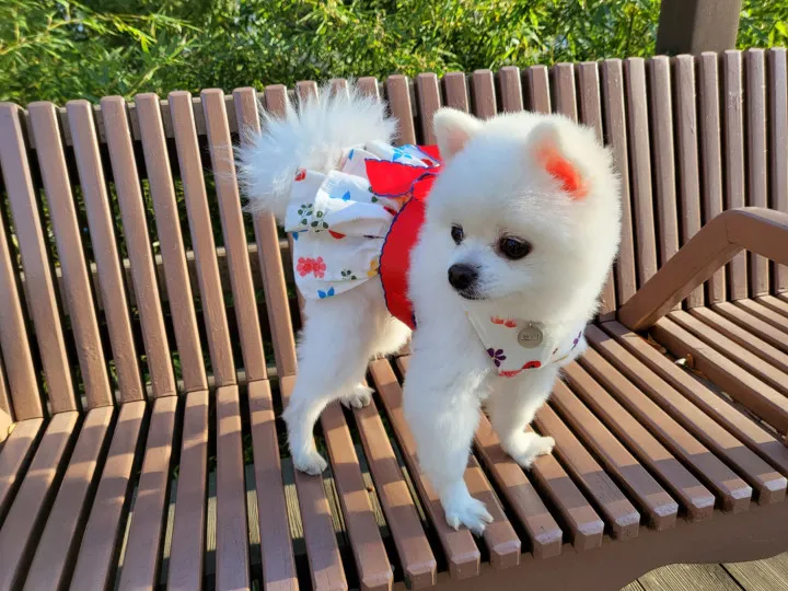商品縮圖